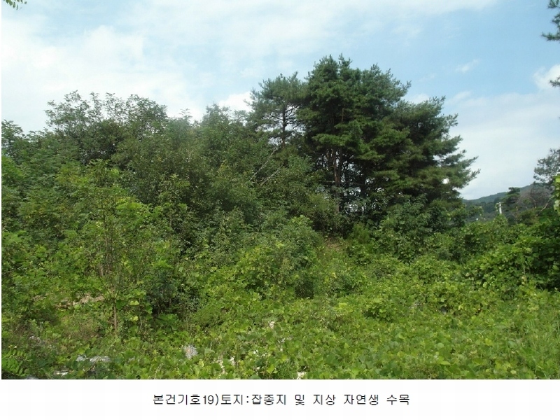 2022타경7723 충청남도 금산군 부리면 수통리 728-6 농지 경매 이미지