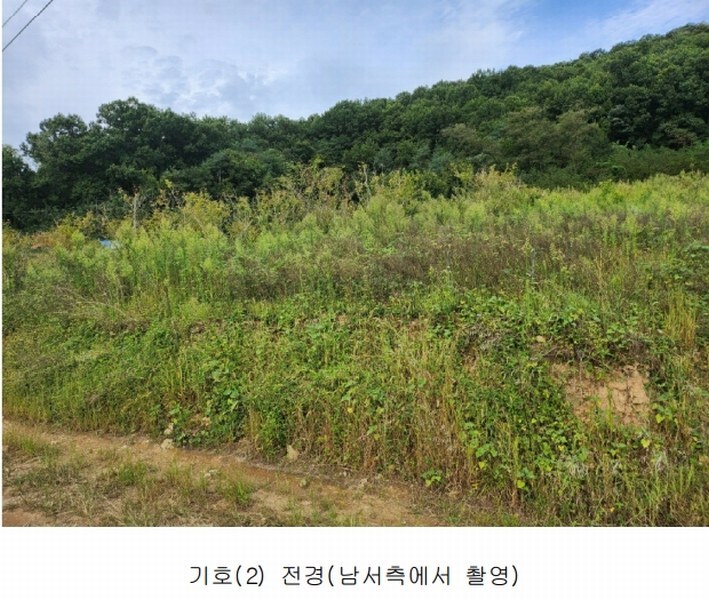 2024타경6786 세종특별자치시 연기면 연기리 13-8 농지 경매 이미지