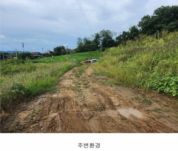 2024타경6786 세종특별자치시 연기면 연기리 13-8 농지 경매 이미지