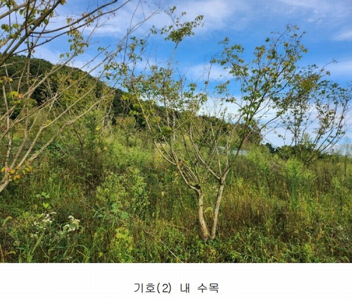2024타경6786 세종특별자치시 연기면 연기리 13-8 농지 경매 이미지