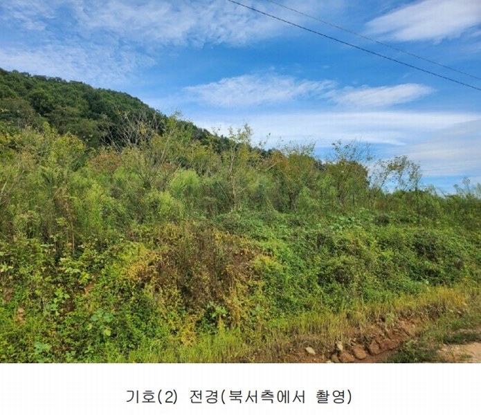 2024타경6786 세종특별자치시 연기면 연기리 13-8 농지 경매 이미지