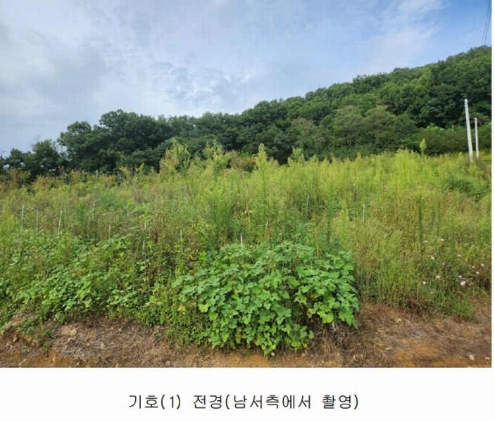 2024타경6786 세종특별자치시 연기면 연기리 13-8 농지 경매 이미지