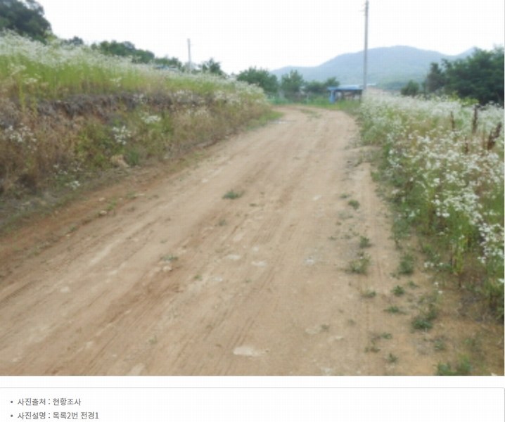 2024타경6786 세종특별자치시 연기면 연기리 13-8 농지 경매 이미지
