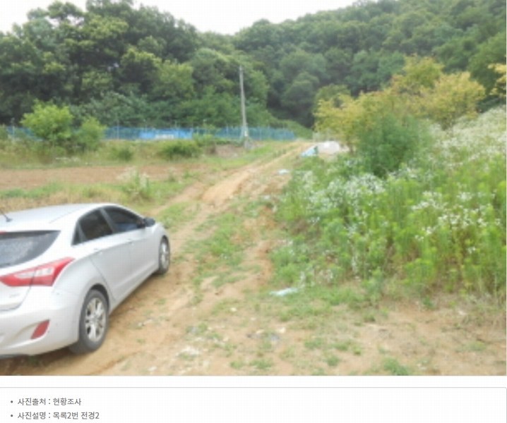 2024타경6786 세종특별자치시 연기면 연기리 13-8 농지 경매 이미지