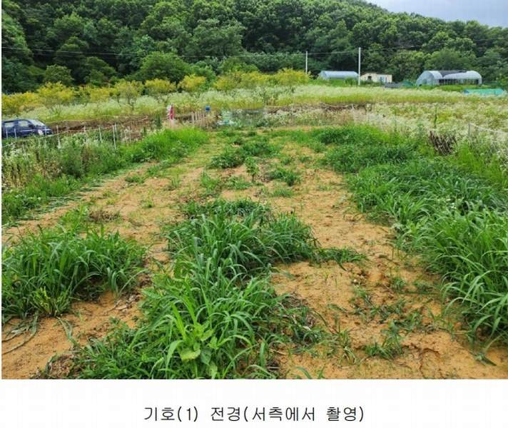 2024타경6786 세종특별자치시 연기면 연기리 13-8 농지 경매 이미지