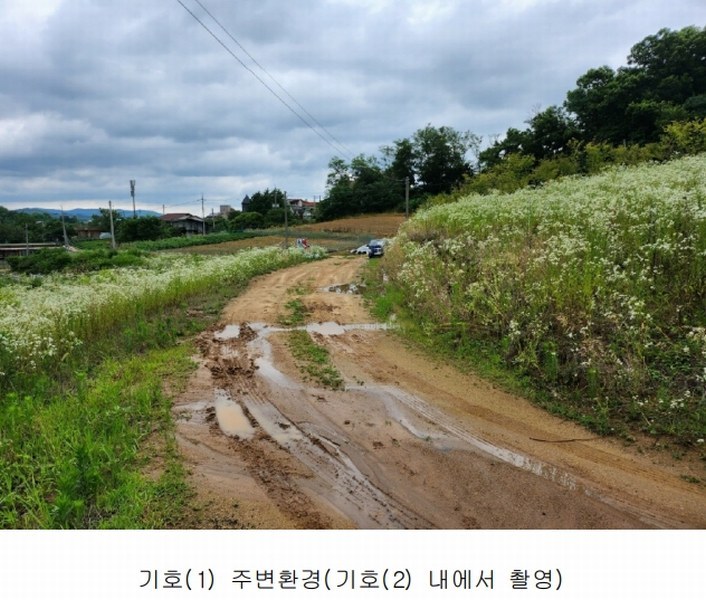 2024타경6786 세종특별자치시 연기면 연기리 13-8 농지 경매 이미지