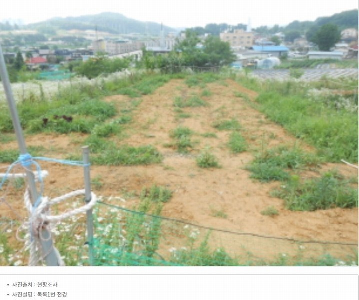 2024타경6786 세종특별자치시 연기면 연기리 13-8 농지 경매 이미지