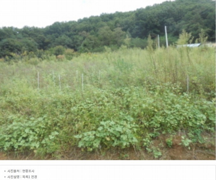 2024타경6786 세종특별자치시 연기면 연기리 13-8 농지 경매 이미지