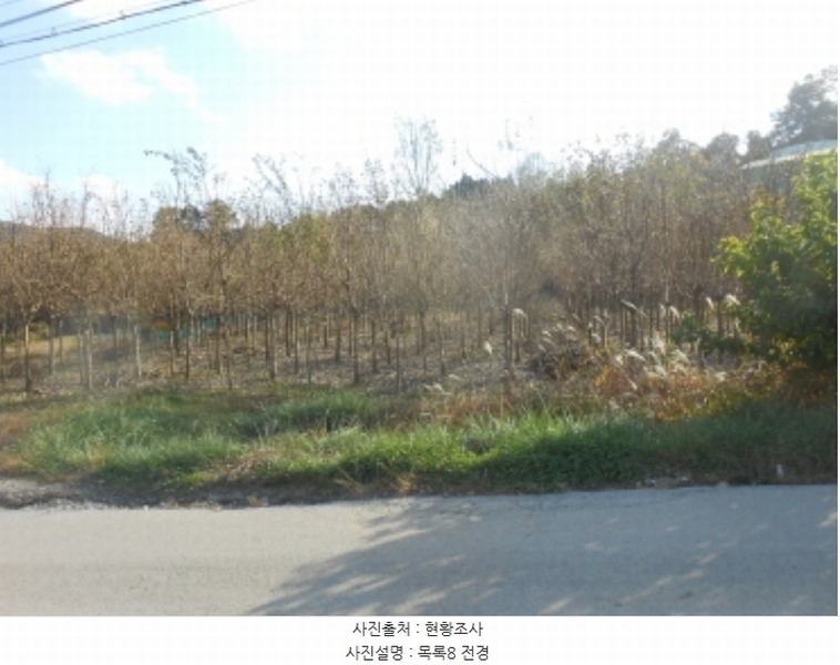 2024타경10303 세종특별자치시 전동면 송성리 494 농지 경매 이미지