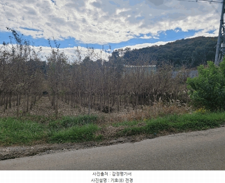 2024타경10303 세종특별자치시 전동면 송성리 494 농지 경매 이미지