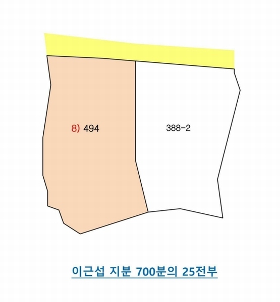 2024타경10303 세종특별자치시 전동면 송성리 494 농지 경매 이미지