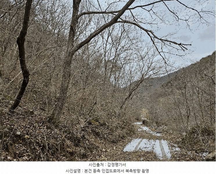 2024타경11726 충청남도 금산군 진산면 삼가리 산107-14 임야 경매 이미지