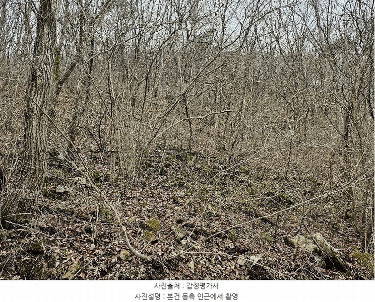 2024타경11726 충청남도 금산군 진산면 삼가리 산107-14 임야 경매 이미지