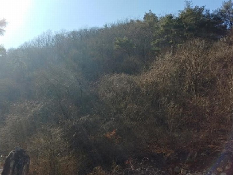2024타경11726 충청남도 금산군 진산면 삼가리 산107-14 임야 경매 이미지