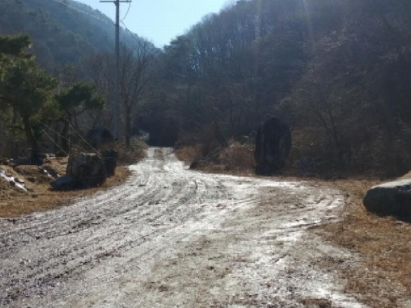 2024타경11726 충청남도 금산군 진산면 삼가리 산107-14 임야 경매 이미지