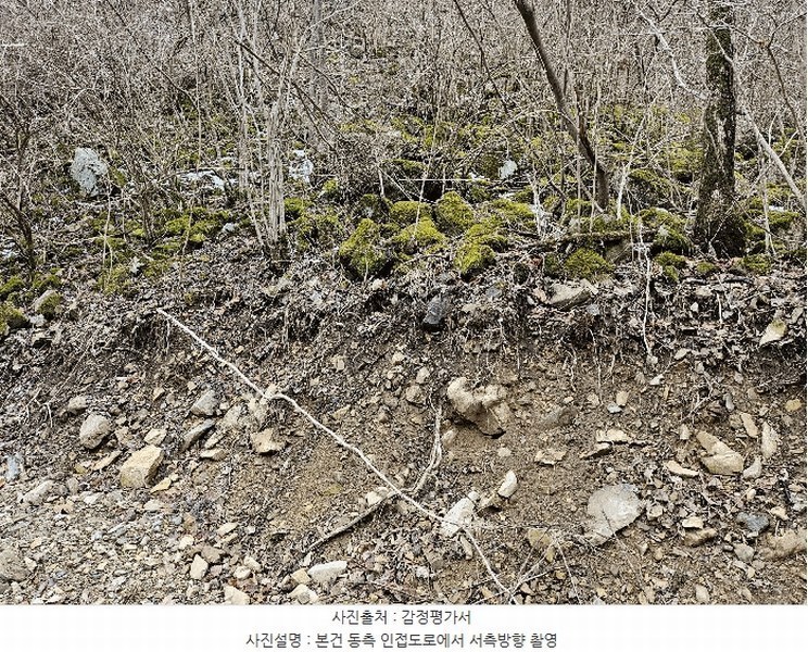 2024타경11726 충청남도 금산군 진산면 삼가리 산107-14 임야 경매 이미지