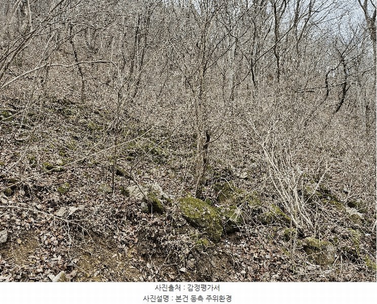 2024타경11726 충청남도 금산군 진산면 삼가리 산107-14 임야 경매 이미지