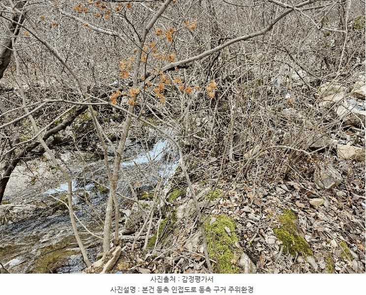 2024타경11726 충청남도 금산군 진산면 삼가리 산107-14 임야 경매 이미지