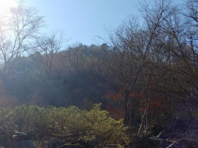 2024타경11726 충청남도 금산군 진산면 삼가리 산107-14 임야 경매 이미지