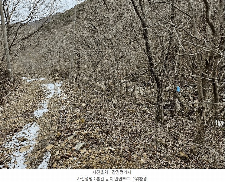 2024타경11726 충청남도 금산군 진산면 삼가리 산107-14 임야 경매 이미지