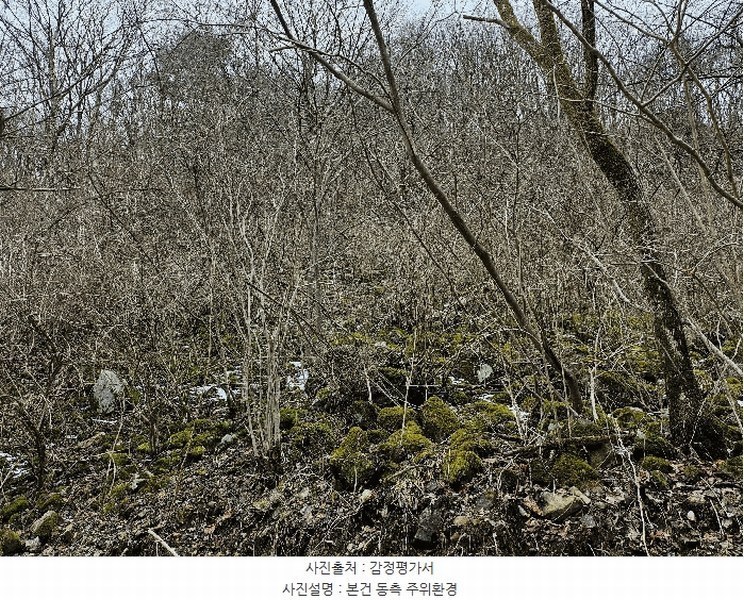 2024타경11726 충청남도 금산군 진산면 삼가리 산107-14 임야 경매 이미지