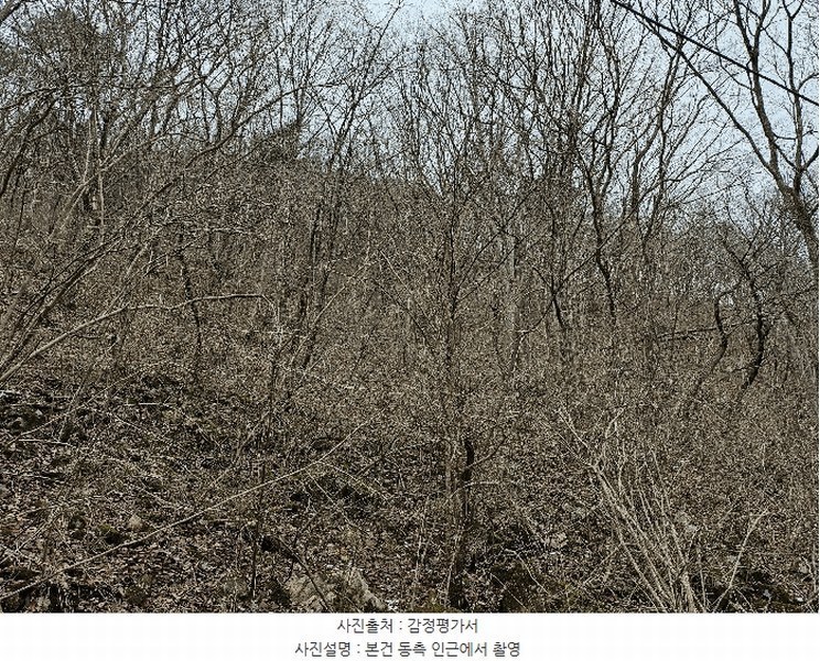 2024타경11726 충청남도 금산군 진산면 삼가리 산107-14 임야 경매 이미지