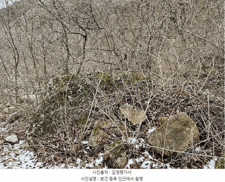 2024타경11726 충청남도 금산군 진산면 삼가리 산107-14 임야 경매 이미지