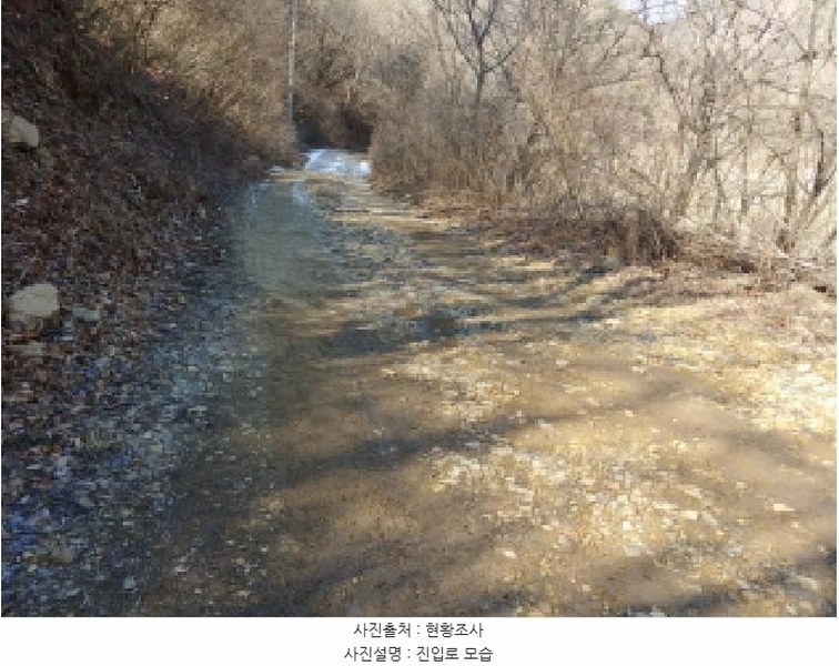 2024타경11726 충청남도 금산군 진산면 삼가리 산107-14 임야 경매 이미지