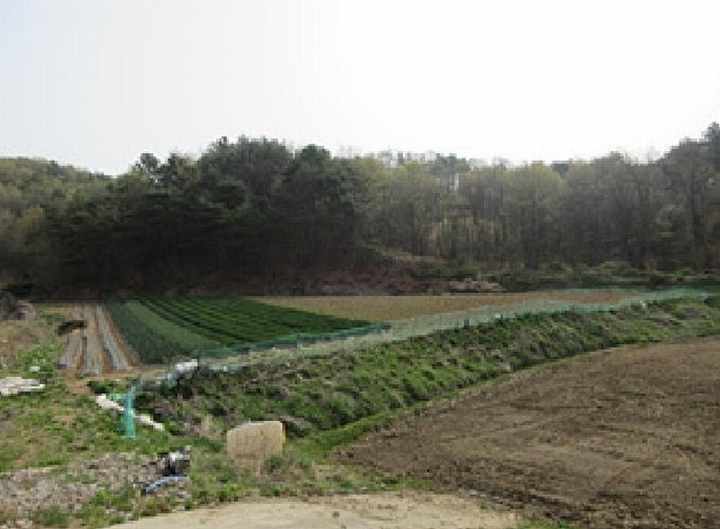 2025타경150 경상북도 예천군 지보면 송평리 186 농지 경매 이미지