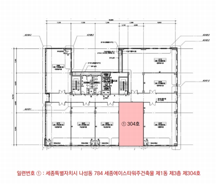 2025타경1696 세종특별자치시 나성로 33-6, 세종에이스타워 주건축물1동 3층 304호 근린상가 경매 이미지
