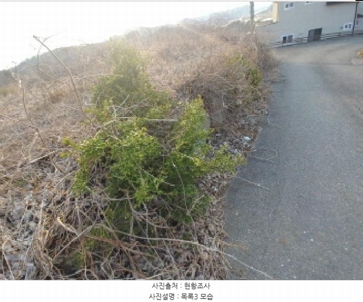 2025타경2453 충청남도 금산군 제원면 용화리 124-10 임야 경매 이미지