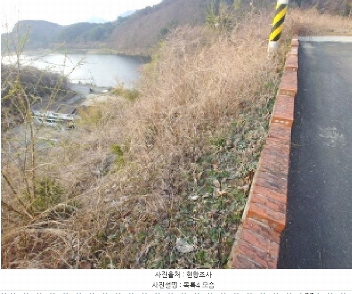 2025타경2453 충청남도 금산군 제원면 용화리 124-10 임야 경매 이미지