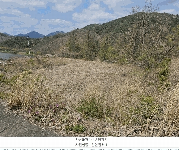 2025타경2453 충청남도 금산군 제원면 용화리 124-10 임야 경매 이미지