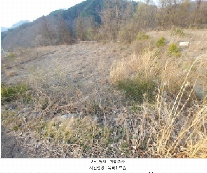 2025타경2453 충청남도 금산군 제원면 용화리 124-10 임야 경매 이미지