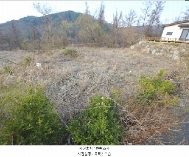 2025타경2453 충청남도 금산군 제원면 용화리 124-10 임야 경매 이미지