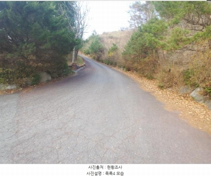 2025타경2453 충청남도 금산군 제원면 용화리 124-10 임야 경매 이미지