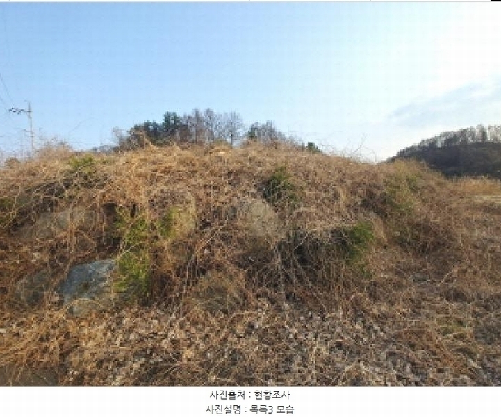 2025타경2453 충청남도 금산군 제원면 용화리 124-10 임야 경매 이미지