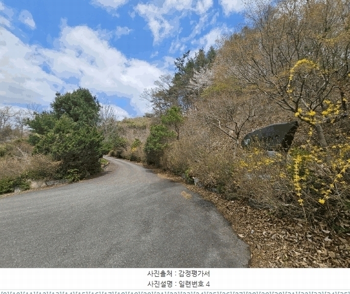 2025타경2453 충청남도 금산군 제원면 용화리 124-10 임야 경매 이미지