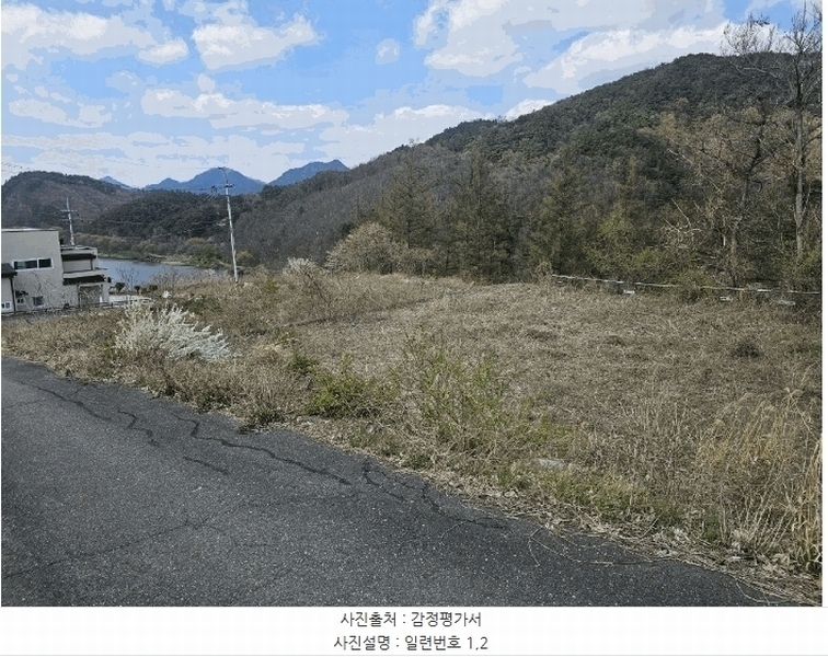 2025타경2453 충청남도 금산군 제원면 용화리 124-10 임야 경매 이미지