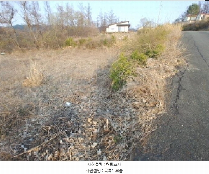 2025타경2453 충청남도 금산군 제원면 용화리 124-10 임야 경매 이미지