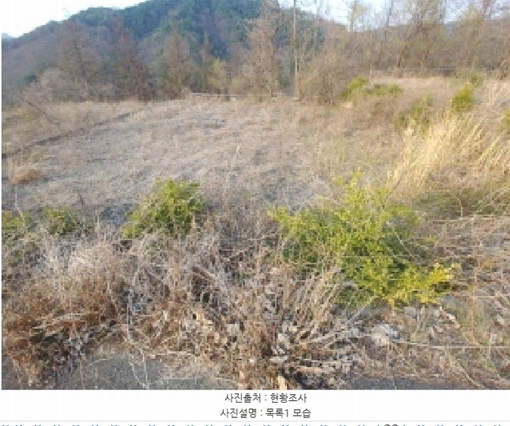2025타경2453 충청남도 금산군 제원면 용화리 124-10 임야 경매 이미지