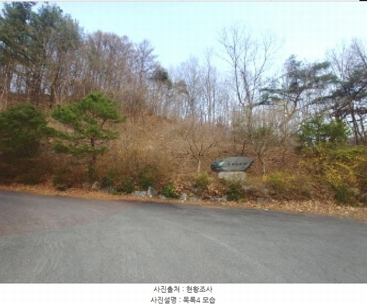 2025타경2453 충청남도 금산군 제원면 용화리 124-10 임야 경매 이미지