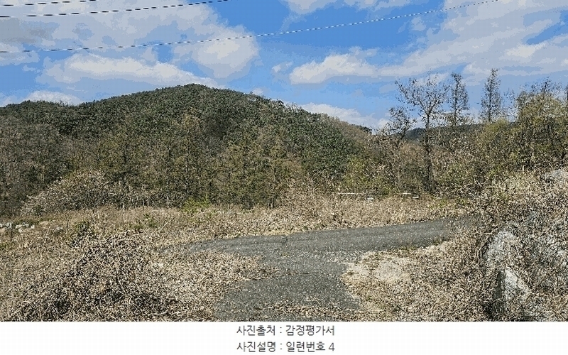2025타경2453 충청남도 금산군 제원면 용화리 124-10 임야 경매 이미지