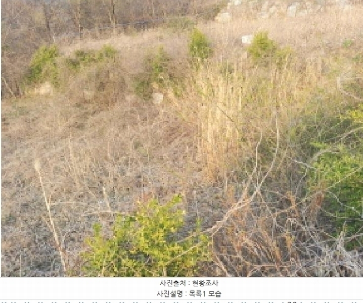 2025타경2453 충청남도 금산군 제원면 용화리 124-10 임야 경매 이미지
