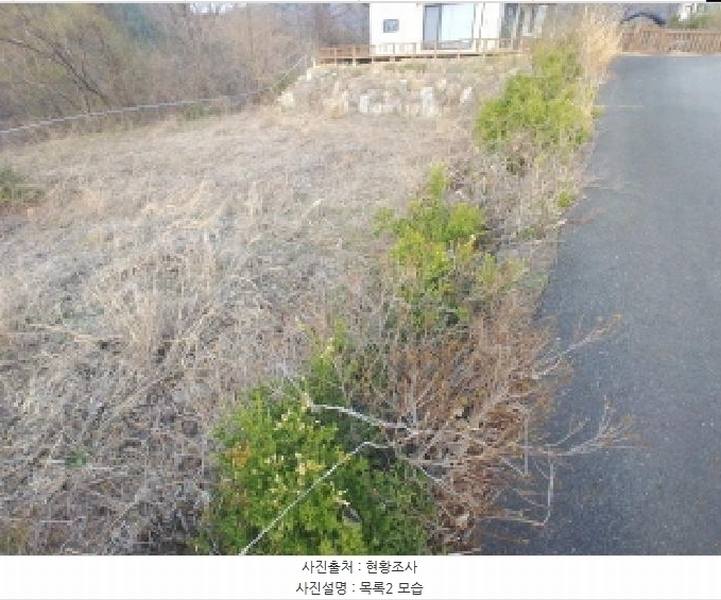 2025타경2453 충청남도 금산군 제원면 용화리 124-10 임야 경매 이미지