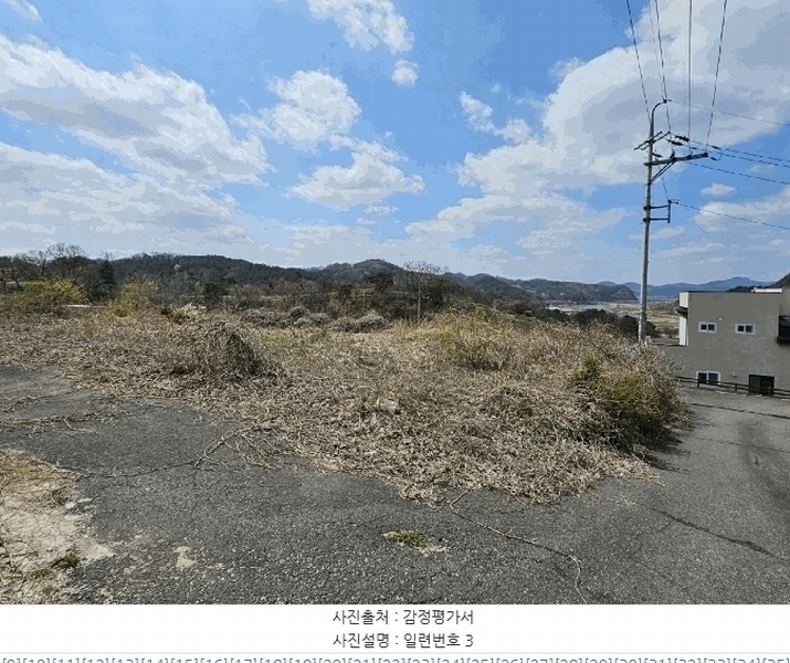 2025타경2453 충청남도 금산군 제원면 용화리 124-10 임야 경매 이미지