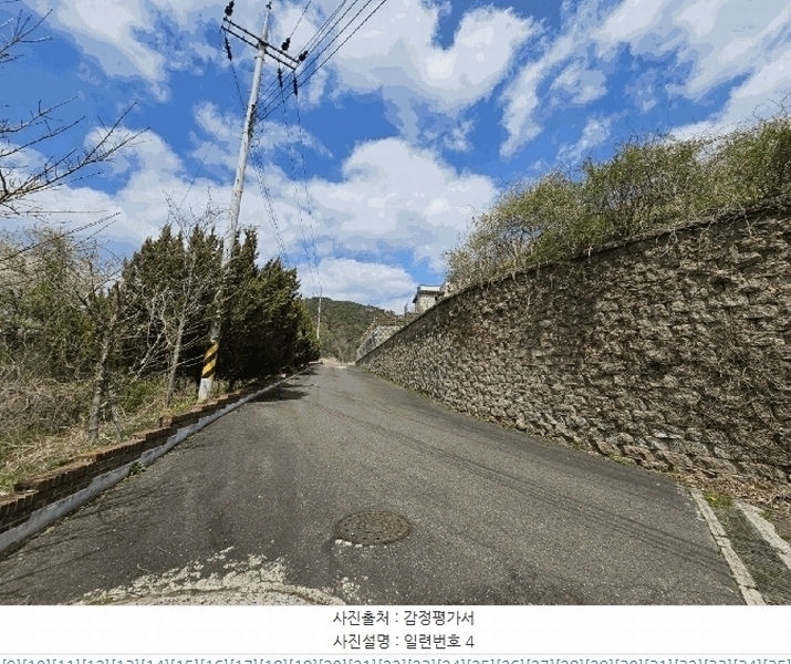 2025타경2453 충청남도 금산군 제원면 용화리 124-10 임야 경매 이미지