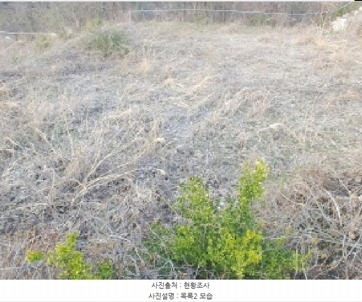 2025타경2453 충청남도 금산군 제원면 용화리 124-10 임야 경매 이미지