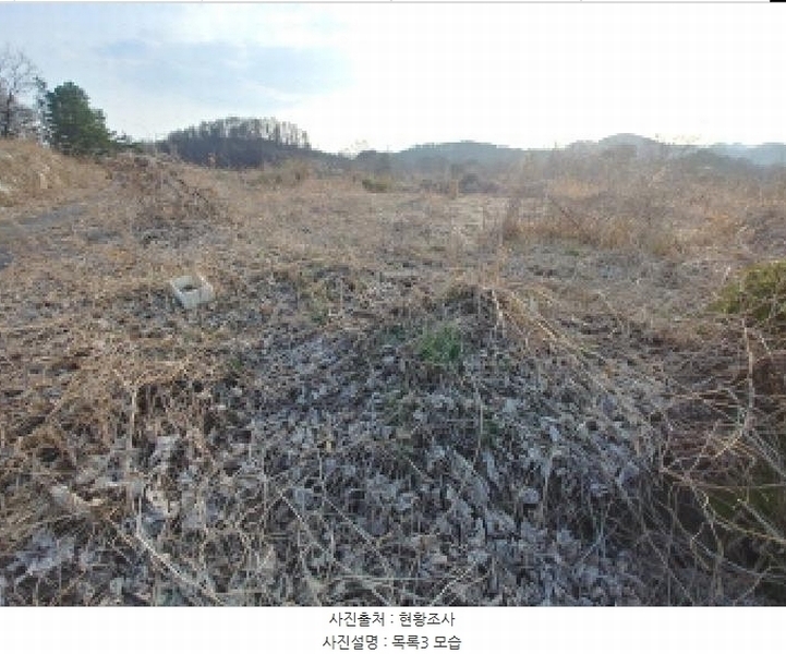 2025타경2453 충청남도 금산군 제원면 용화리 124-10 임야 경매 이미지