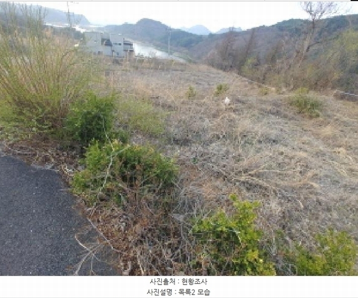 2025타경2453 충청남도 금산군 제원면 용화리 124-10 임야 경매 이미지